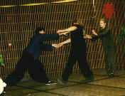 wpe16.jpg (4537 bytes)