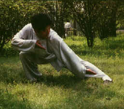 wpe3F.jpg (9896 bytes)